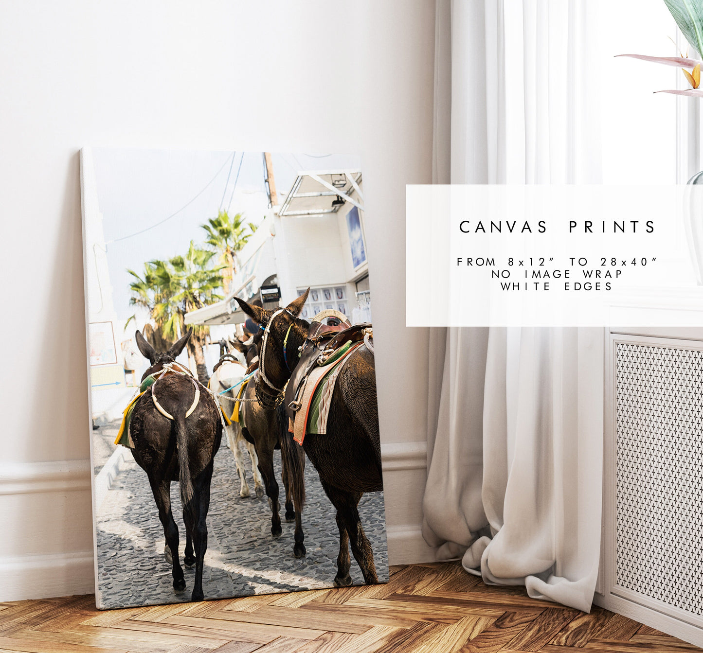 Santorini Donkey Photography Print - Greece - Print - Poster - Santorini Photography - Greece Wall Art - Donkey - Donkeys - Thera - Fira