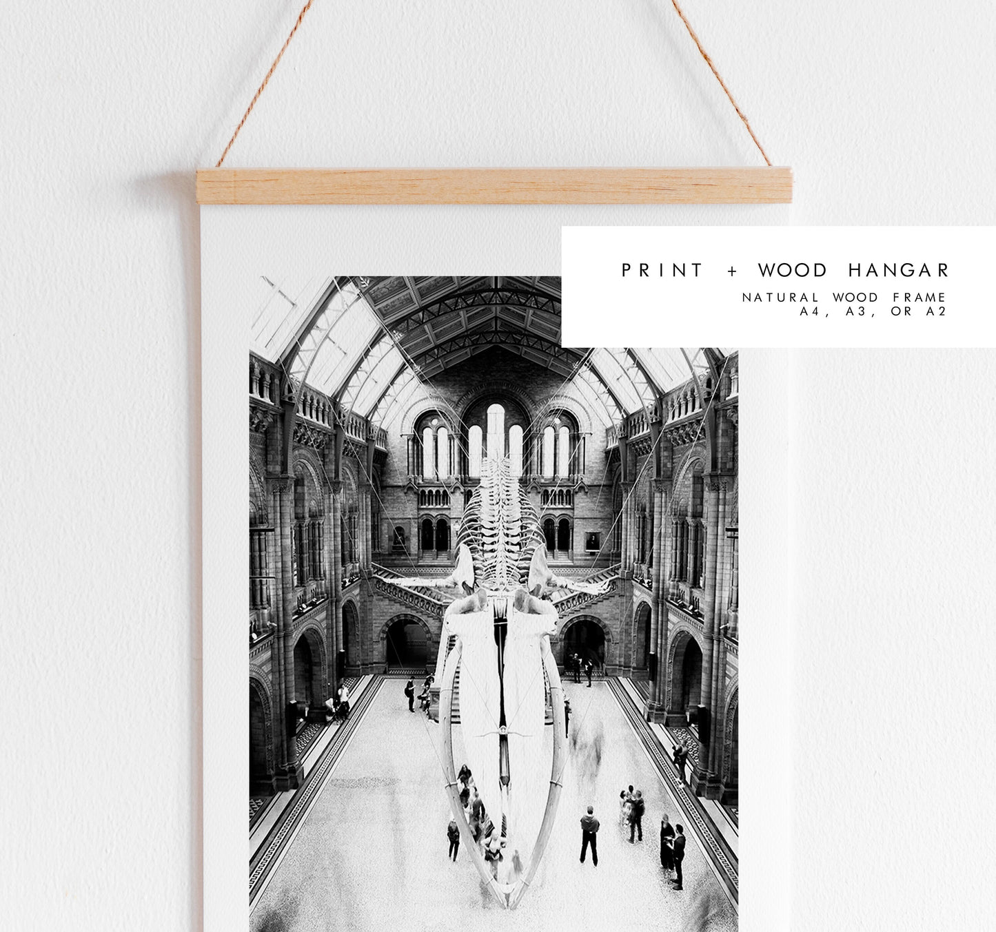 London Black and White Print - London Photography Print - Fine Art Photography - London Print - Poster - Wall Art - Blue Whale - Museum