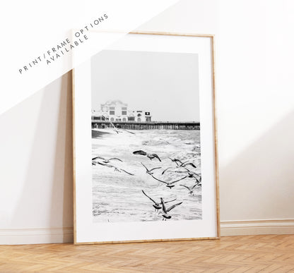 Seagulls in the Storm - Photography Print - Portsmouth and Southsea Prints - Wall Art -  Frame and Canvas Options - Portrait - BW