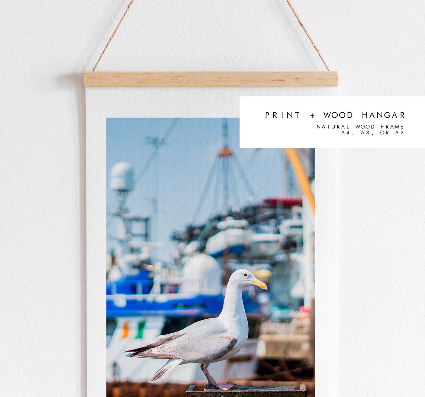 Seagull Print - Photography Print - Portsmouth and Southsea Prints - Wall Art -  Frame and Canvas Options - Portrait