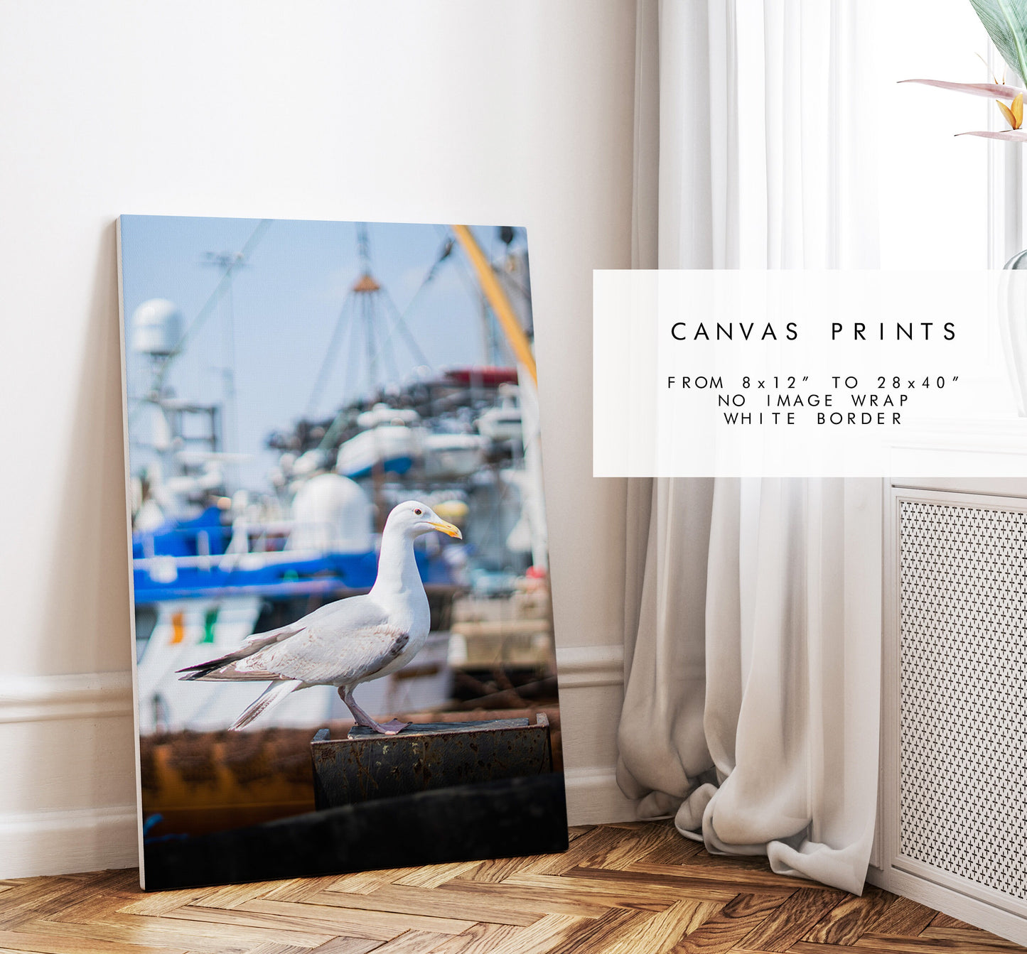 Seagull Print - Photography Print - Portsmouth and Southsea Prints - Wall Art -  Frame and Canvas Options - Portrait