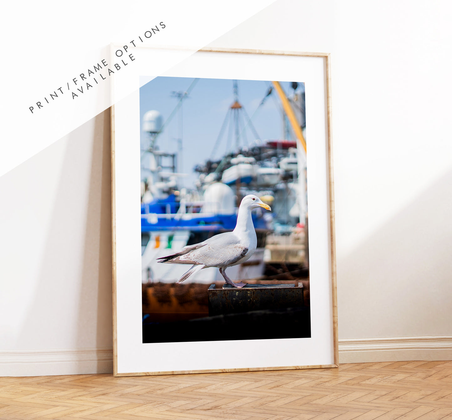 Seagull Print - Photography Print - Portsmouth and Southsea Prints - Wall Art -  Frame and Canvas Options - Portrait