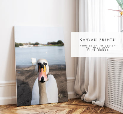 Canoe Lake Print - Photography Print - Portsmouth and Southsea Prints - Wall Art -  Frame and Canvas Options - Portrait