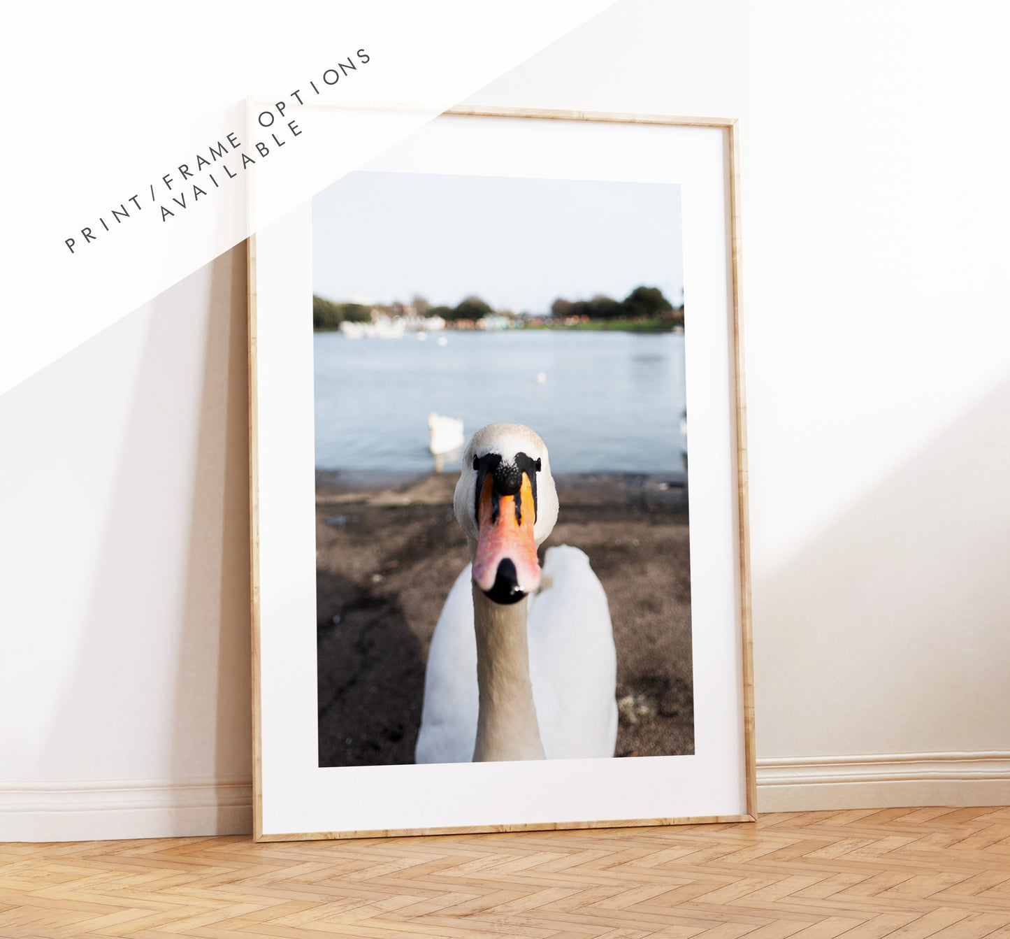 Canoe Lake Print - Photography Print - Portsmouth and Southsea Prints - Wall Art -  Frame and Canvas Options - Portrait