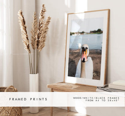 Canoe Lake Print - Photography Print - Portsmouth and Southsea Prints - Wall Art -  Frame and Canvas Options - Portrait