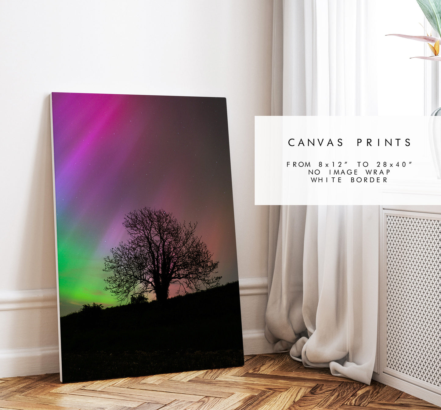 Northern Lights Print - Photography Print - Portsmouth and Southsea Prints - Wall Art -  Frame and Canvas Options - Portrait