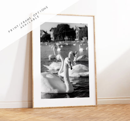 Canoe Lake Print - Photography Print - Portsmouth and Southsea Prints - Wall Art -  Frame and Canvas Options - Portrait - BW