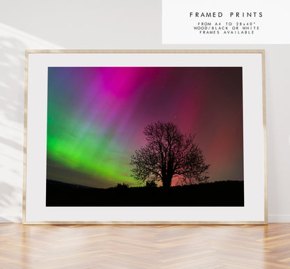 Portsmouth Northern Lights - Photography Print - Portsmouth and Southsea Prints - Wall Art -  Frame and Canvas Options - Landscape