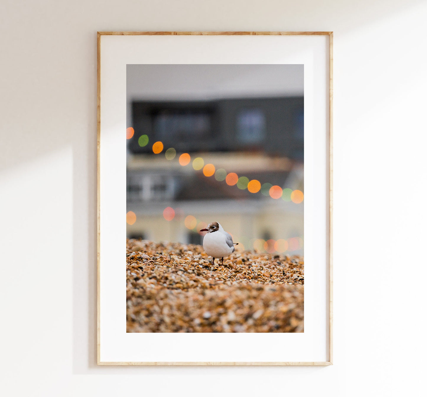 Seagull Print - Photography Print - Portsmouth and Southsea Prints - Wall Art -  Frame and Canvas Options - Portrait