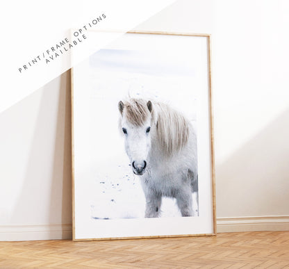 Icelandic Horse Print - Iceland Photography Print - Iceland Wall Art - Iceland Poster - Icelandic Horse - Iceland Horses - Horse Print