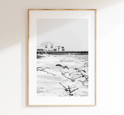 Seagulls in the Storm - Photography Print - Portsmouth and Southsea Prints - Wall Art -  Frame and Canvas Options - Portrait - BW