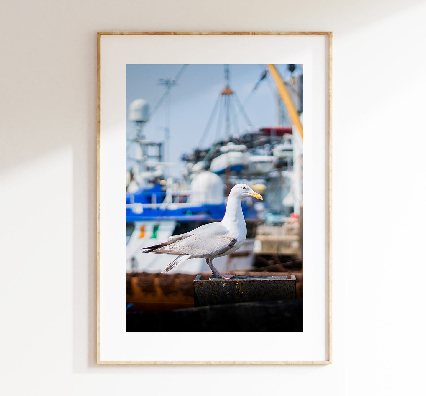 Seagull Print - Photography Print - Portsmouth and Southsea Prints - Wall Art -  Frame and Canvas Options - Portrait