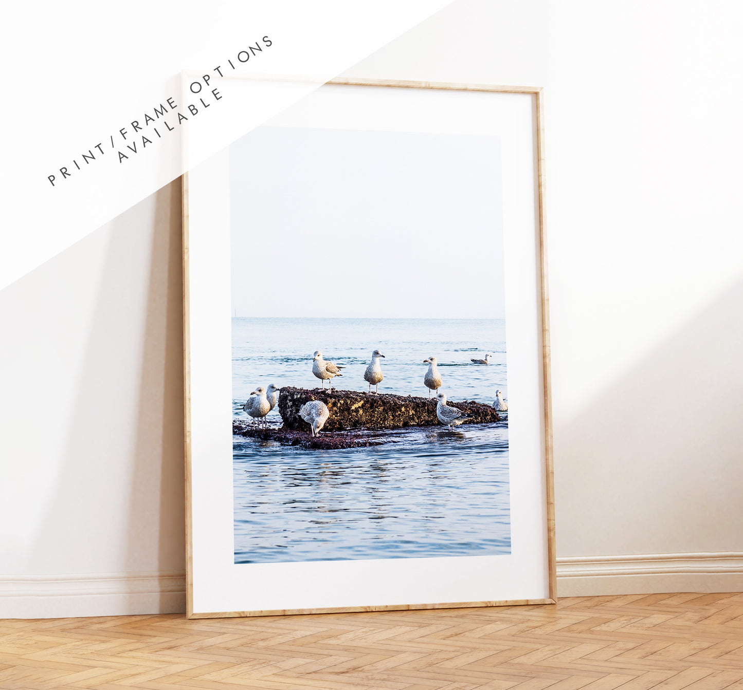 Seagull Print - Photography Print - Portsmouth and Southsea Prints - Wall Art -  Frame and Canvas Options - Portrait