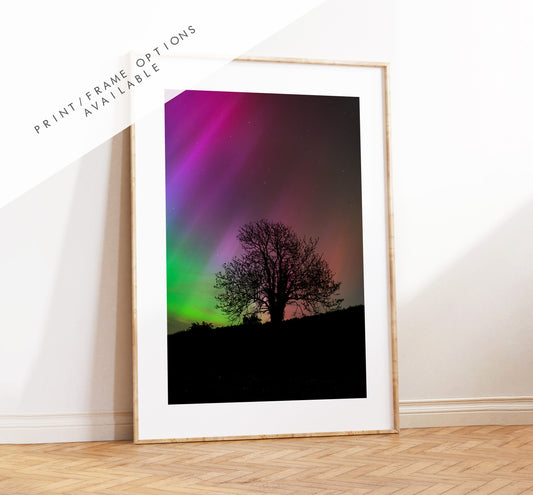 Northern Lights Print - Photography Print - Portsmouth and Southsea Prints - Wall Art -  Frame and Canvas Options - Portrait