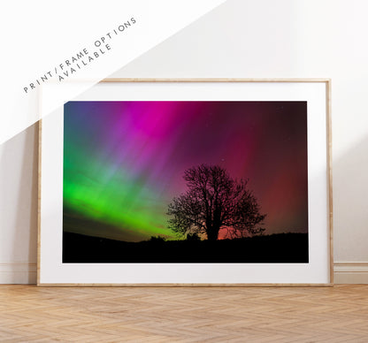 Portsmouth Northern Lights - Photography Print - Portsmouth and Southsea Prints - Wall Art -  Frame and Canvas Options - Landscape