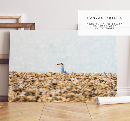 Seagull Print - Photography Print - Portsmouth and Southsea Prints - Wall Art -  Frame and Canvas Options - Landscape