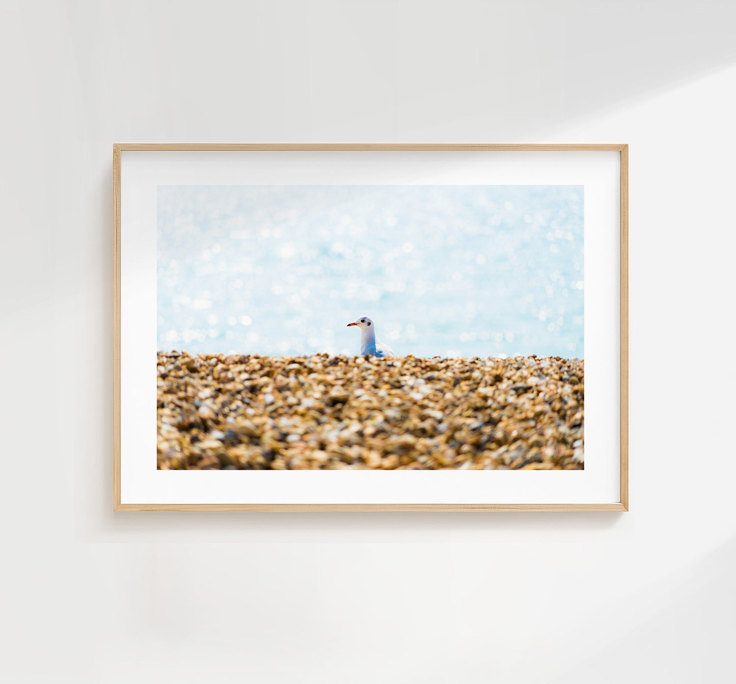 Seagull Print - Photography Print - Portsmouth and Southsea Prints - Wall Art -  Frame and Canvas Options - Landscape