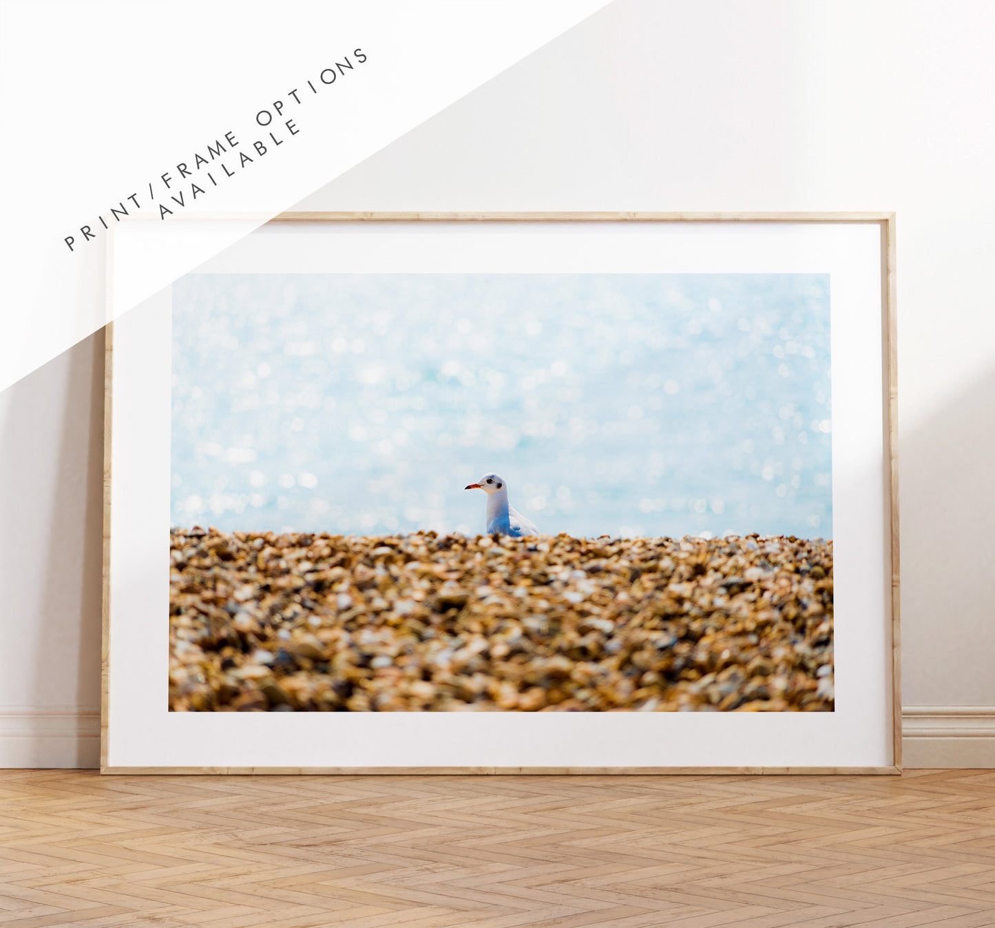 Seagull Print - Photography Print - Portsmouth and Southsea Prints - Wall Art -  Frame and Canvas Options - Landscape