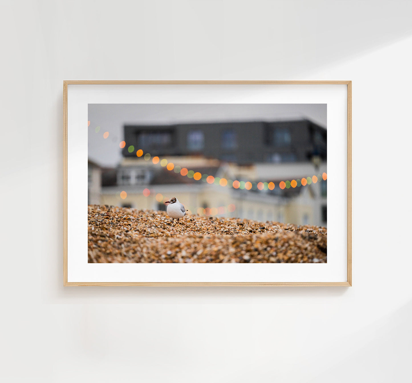 Seagull Print - Photography Print - Portsmouth and Southsea Prints - Wall Art -  Frame and Canvas Options - Landscape