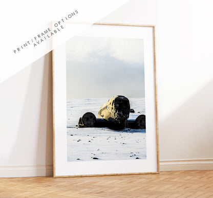 Iceland Plane Print - Iceland Photography Print - Iceland Wall Art - Iceland Poster - Sólheimasandur - Vik - South Iceland - Iceland Beach