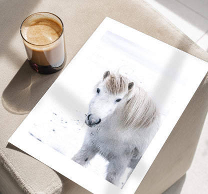 Icelandic Horse Print - Iceland Photography Print - Iceland Wall Art - Iceland Poster - Icelandic Horse - Iceland Horses - Horse Print