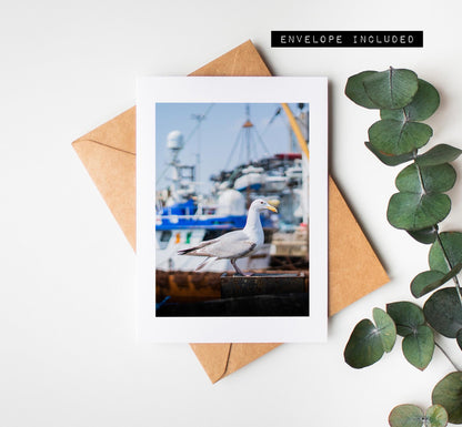 Portsmouth Seagull Greeting Card - Portsmouth and Southsea Photography Greeting Cards - Envelope Included - Birthday - Wedding - Anniversary