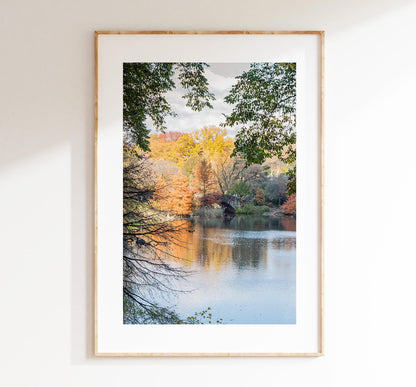 Central Park Print - New York City Photography Print - Central Park Bridge - Central Park Autumn - Fall - New York Poster - Trees - Wall Art