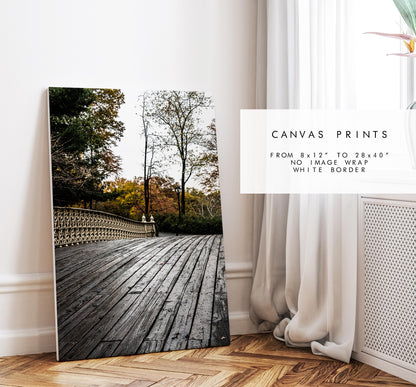 Central Park Print - New York City Photography Print - Central Park Bridge - Central Park Autumn - Fall - New York Poster - Trees - Wall Art